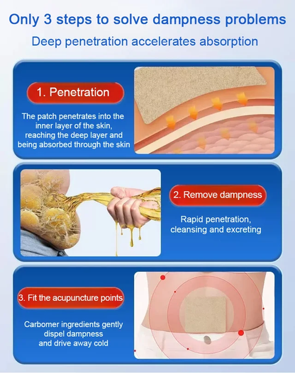 TCM Healthy Dampness Dispelling Acupoint Patch