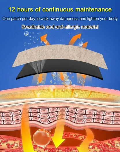 TCM Healthy Dampness Dispelling Acupoint Patch