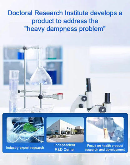 TCM Healthy Dampness Dispelling Acupoint Patch